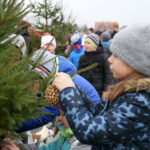 19.12.2015. Strojenie choinek na rynku w Daleszycach / Kamil Król / Radio Kielce