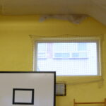 07.12.2015. Sala gimnastyczna Zespołu Szkół Ekonomicznych im. Oskara Langego wymaga natychmiastowego remontu / Kamil Król / Radio Kielce