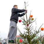 19.12.2015. Strojenie choinek na rynku w Daleszycach / Kamil Król / Radio Kielce