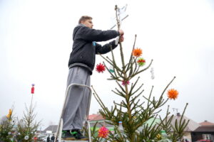 19.12.2015. Strojenie choinek na rynku w Daleszycach / Kamil Król / Radio Kielce