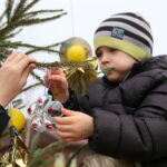 19.12.2015. Strojenie choinek na rynku w Daleszycach / Kamil Król / Radio Kielce