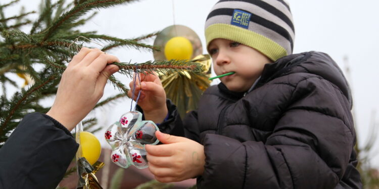 19.12.2015. Strojenie choinek na rynku w Daleszycach / Kamil Król / Radio Kielce