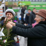 19.12.2015. Strojenie choinek na rynku w Daleszycach / Kamil Król / Radio Kielce