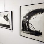 18.12.2015 Kielce. Biuro Wystaw Artystycznych. Wystawa fotografii POSTAWY. Współczesna fotografia z Saksonii. / Jarosław Kubalski / Radio Kielce