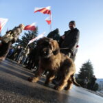 19.12.2015. Pikieta Komitetu Obrony Demokracji przeciwko łamaniu prawa i konstytucji przez najwyższe organy państwa. / Włodzimierz Batóg / Radio Kielce