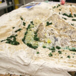 01.12.2015 Kielce. Instytut Design. Seniorzy tworzyli makietę Kadzielni / Stanisław Blinstrub / Radio Kielce