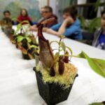 15.01.2016 Kielce. Noc Biologów na Uniwersytecie Jana Kochanowskiego. / Jarosław Kubalski / Radio Kielce