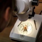 15.01.2016 Kielce. Noc Biologów na Uniwersytecie Jana Kochanowskiego. / Jarosław Kubalski / Radio Kielce