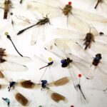 15.01.2016 Kielce. Noc Biologów na Uniwersytecie Jana Kochanowskiego. / Jarosław Kubalski / Radio Kielce