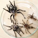 15.01.2016 Kielce. Noc Biologów na Uniwersytecie Jana Kochanowskiego. / Jarosław Kubalski / Radio Kielce