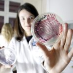 15.01.2016 Kielce. Noc Biologów na Uniwersytecie Jana Kochanowskiego. / Jarosław Kubalski / Radio Kielce