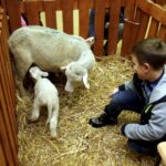 15.01.2016 Kielce. Noc Biologów na Uniwersytecie Jana Kochanowskiego. / Jarosław Kubalski / Radio Kielce