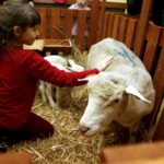 15.01.2016 Kielce. Noc Biologów na Uniwersytecie Jana Kochanowskiego. / Jarosław Kubalski / Radio Kielce