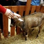 15.01.2016 Kielce. Noc Biologów na Uniwersytecie Jana Kochanowskiego. / Jarosław Kubalski / Radio Kielce