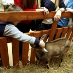 15.01.2016 Kielce. Noc Biologów na Uniwersytecie Jana Kochanowskiego. / Jarosław Kubalski / Radio Kielce