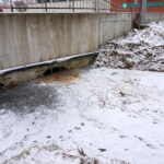 11.01.2016. Bobry zniszczyły drzewa w ostrowieckich sadach / Teresa Czajkowska / Radio Kielce