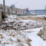 11.01.2016. Bobry zniszczyły drzewa w ostrowieckich sadach / Teresa Czajkowska / Radio Kielce