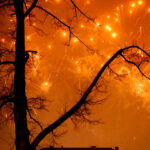 10.1.2016 Kielce. Światełko do nieba na Rynku. / Jarosław Kubalski / Radio Kielce