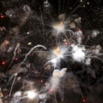 31.12.2015 Kielce. Sylwester pod gwiazdami. / Jarosław Kubalski / Radio Kielce