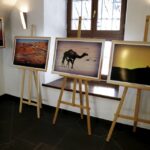 21.01.2016 Kielce. Wystawa Dubaj zza zasłony autorstwa Adama Cedro w Muzeum Dialogu Kultur. / Jarosław Kubalski / Radio Kielce