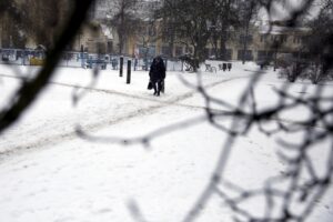 21.01.2016 Kielce. Skwer Ireny Sendlerowej. / Jarosław Kubalski / Radio Kielce