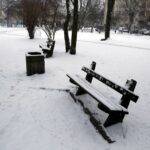 21.01.2016 Kielce. Skwer Ireny Sendlerowej. / Jarosław Kubalski / Radio Kielce