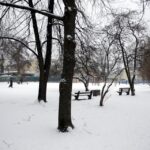 21.01.2016 Kielce. Skwer Ireny Sendlerowej. / Jarosław Kubalski / Radio Kielce