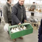 30.01.2016 Kielce. Ogólnopolska Wystawa Gołębi Rasowych i Drobnego Inwentarza. / Jarosław Kubalski / Radio Kielce