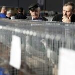 30.01.2016 Kielce. Ogólnopolska Wystawa Gołębi Rasowych i Drobnego Inwentarza. / Jarosław Kubalski / Radio Kielce