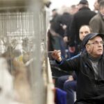 30.01.2016 Kielce. Ogólnopolska Wystawa Gołębi Rasowych i Drobnego Inwentarza. / Jarosław Kubalski / Radio Kielce