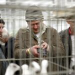 30.01.2016 Kielce. Ogólnopolska Wystawa Gołębi Rasowych i Drobnego Inwentarza. / Jarosław Kubalski / Radio Kielce