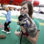 30.01.2016 Kielce. Ogólnopolska Wystawa Gołębi Rasowych i Drobnego Inwentarza. / Jarosław Kubalski / Radio Kielce