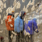 4.1.2016 Kielce. Alpiniści zrobili skałkach rezerwatu Kadzielnia lodospad. / Wojciech Habdas / Radio Kielce