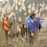 4.1.2016 Kielce. Alpiniści zrobili skałkach rezerwatu Kadzielnia lodospad. / Wojciech Habdas / Radio Kielce