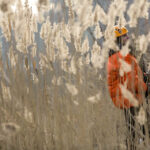 4.1.2016 Kielce. Alpiniści zrobili skałkach rezerwatu Kadzielnia lodospad. / Wojciech Habdas / Radio Kielce