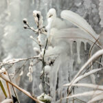 4.1.2016 Kielce. Alpiniści zrobili skałkach rezerwatu Kadzielnia lodospad. / Wojciech Habdas / Radio Kielce