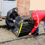 27.1.2016 Kielce. Od środy pracownicy schroniska dla bezdomnych zwierząt w Dyminach będą jeździć na patrole interwencyjne nowym samochodem. / Wojciech Habdas / Radio Kielce