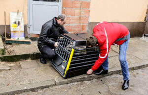 27.1.2016 Kielce. Od środy pracownicy schroniska dla bezdomnych zwierząt w Dyminach będą jeździć na patrole interwencyjne nowym samochodem. / Wojciech Habdas / Radio Kielce