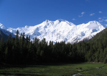 Nanga Parbat / Atif Gulzar / Radio Kielce