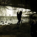 07.02.2016 Kielce. Zimowy, niedzielny spacer w Parku Miejskim. / Jarosław Kubalski / Radio Kielce