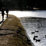 07.02.2016 Kielce. Zimowy, niedzielny spacer w Parku Miejskim. / Jarosław Kubalski / Radio Kielce