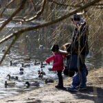 07.02.2016 Kielce. Zimowy, niedzielny spacer w Parku Miejskim. / Jarosław Kubalski / Radio Kielce