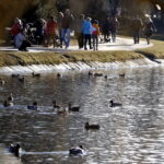 07.02.2016 Kielce. Zimowy, niedzielny spacer w Parku Miejskim. / Jarosław Kubalski / Radio Kielce