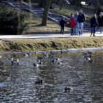 07.02.2016 Kielce. Zimowy, niedzielny spacer w Parku Miejskim. / Jarosław Kubalski / Radio Kielce