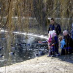 07.02.2016 Kielce. Zimowy, niedzielny spacer w Parku Miejskim. / Jarosław Kubalski / Radio Kielce