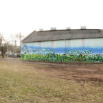 9.2.2016 Kielce. Rozjeżdżony trawnik przy Skateparku na Kadzielni. / Wojciech Habdas / Radio Kielce