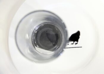 09.02.2016 Kielce. Konferencja prasowa w Instytucie Designu na temat nowych wystaw. Jeden z eksponatów przyszłej wystawy -ruchoma ceramika. / Jarosław Kubalski / Radio Kielce