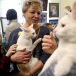 21.02.2016 Kielce. Dzień Kota w Muzeum Zabawek. / Jarosław Kubalski / Radio Kielce