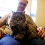 21.02.2016 Kielce. Dzień Kota w Muzeum Zabawek. / Jarosław Kubalski / Radio Kielce