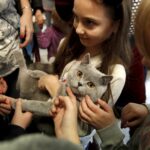 21.02.2016 Kielce. Dzień Kota w Muzeum Zabawek. / Jarosław Kubalski / Radio Kielce